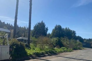 Recreation,  River road, Russian River, CA 95446 - 4