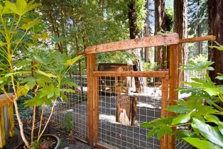 Single Family Residence,  Old Cazadero road, Russian River, CA 95446 - 17