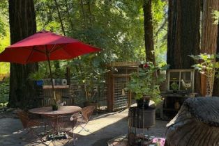 Single Family Residence,  Old Cazadero road, Russian River, CA 95446 - 31