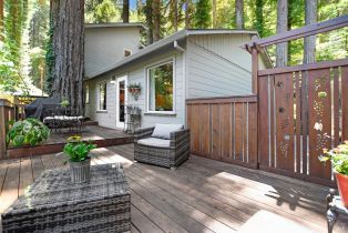 Single Family Residence,  Old Cazadero road, Russian River, CA 95446 - 26