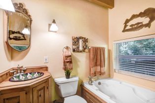 Single Family Residence,  Old Cazadero road, Russian River, CA 95446 - 10