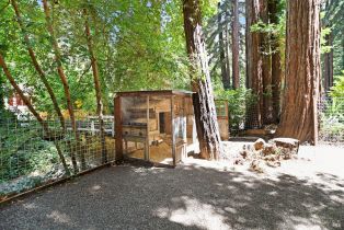 Single Family Residence,  Old Cazadero road, Russian River, CA 95446 - 18