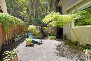 Single Family Residence,  Old Cazadero road, Russian River, CA 95446 - 16