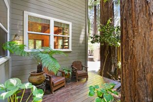 Single Family Residence,  Old Cazadero road, Russian River, CA 95446 - 14