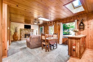 Single Family Residence,  Old Cazadero road, Russian River, CA 95446 - 3
