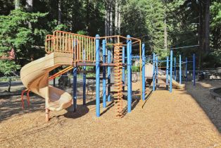 Single Family Residence,  Canyon 7 road, Russian River, CA 95446 - 47