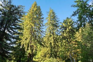 Single Family Residence,  Canyon 7 road, Russian River, CA 95446 - 10