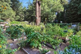 Single Family Residence,  Canyon 7 road, Russian River, CA 95446 - 49