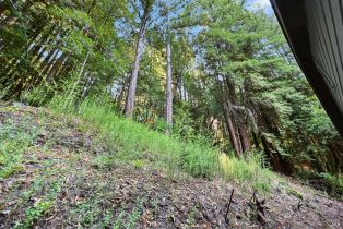 Single Family Residence,  Canyon 7 road, Russian River, CA 95446 - 43