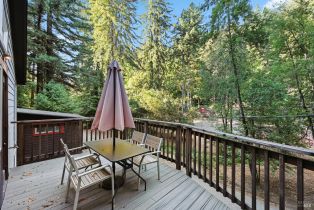 Single Family Residence,  Canyon 7 road, Russian River, CA 95446 - 9