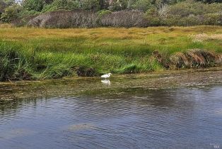 Single Family Residence,  Bean avenue, Bodega Bay, CA 94923 - 4