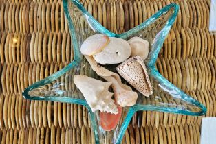 Single Family Residence,  Bean avenue, Bodega Bay, CA 94923 - 11