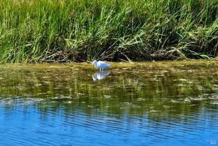 Single Family Residence,  Bean avenue, Bodega Bay, CA 94923 - 45