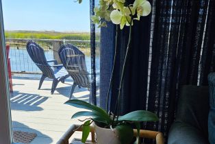 Single Family Residence,  Bean avenue, Bodega Bay, CA 94923 - 40