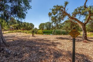 Single Family Residence,  Monticello road, Napa, CA 94558 - 41