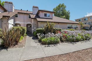 Condominium,  Burgundy court, Petaluma, CA 94954 - 2