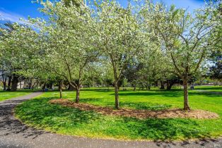 Residential Acreage,  Mckinley road, Napa, CA 94558 - 23