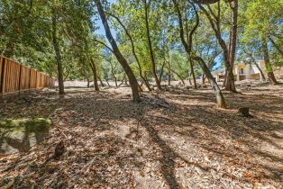 Residential Lot,  Los Olivos road, Santa Rosa, CA 95404 - 6