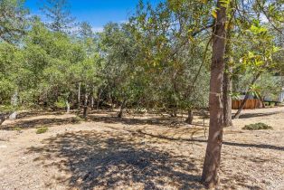 Land, 796 Los Olivos Rd, Santa Rosa, CA  Santa Rosa, CA 95404