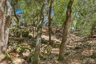 Residential Lot,  Los Olivos road, Santa Rosa, CA 95404 - 8