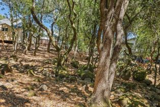 Residential Lot,  Los Olivos road, Santa Rosa, CA 95404 - 7