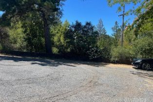 Single Family Residence,  Dry Creek road, Healdsburg, CA 95448 - 13