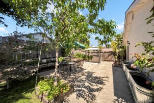 Single Family Residence, Mountain View circle, Napa, CA 94558 - 18
