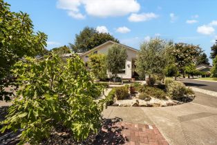 Single Family Residence, Mountain View circle, Napa, CA 94558 - 30