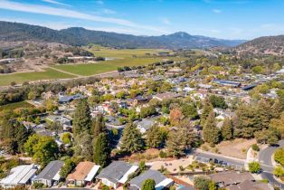 Single Family Residence,  Yount street, Yountville, CA 94599 - 34
