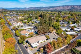 Single Family Residence,  Yount street, Yountville, CA 94599 - 36