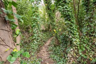 Single Family Residence,  Northern avenue, Russian River, CA 95446 - 27