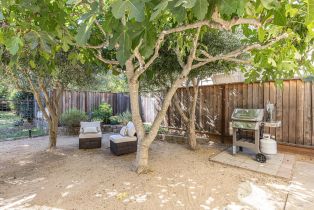 Single Family Residence, Old Vine way, Napa, CA 94558 - 40