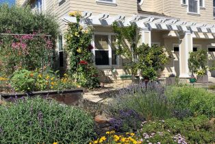 Single Family Residence, Old Vine way, Napa, CA 94558 - 64