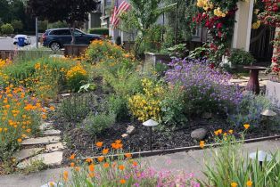 Single Family Residence, Old Vine way, Napa, CA 94558 - 63