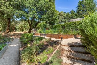 Single Family Residence,  Pine Flat road, Healdsburg, CA 95448 - 73