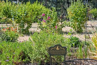 Single Family Residence,  Pine Flat road, Healdsburg, CA 95448 - 74