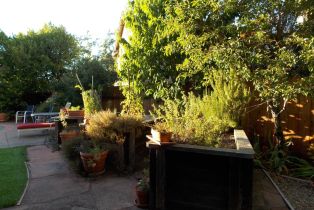 Single Family Residence,  Golf Course drive, Windsor, CA 95492 - 32