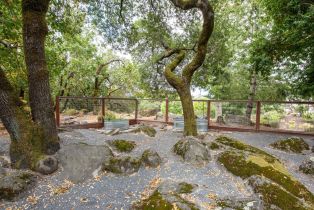 Single Family Residence, Happy Valley road, Santa Rosa, CA 95409 - 51