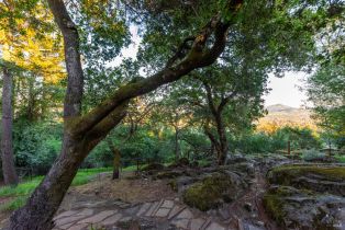 Single Family Residence, Happy Valley road, Santa Rosa, CA 95409 - 7