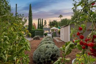 Single Family Residence,  Napa street, Sonoma, CA 95476 - 51