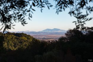 Single Family Residence,  Canyon road, Sonoma, CA 95476 - 37