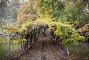 Single Family Residence,  Canyon road, Sonoma, CA 95476 - 31