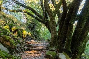 Single Family Residence,  Canyon road, Sonoma, CA 95476 - 30