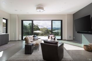 Single Family Residence,  Warm Springs road, Glen Ellen, CA 95442 - 24