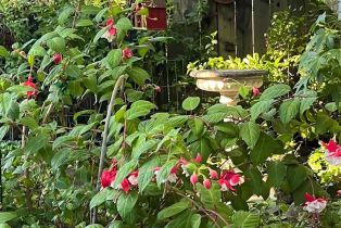 Single Family Residence,  Parktrail court, Santa Rosa, CA 95405 - 90