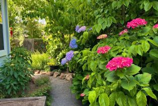 Single Family Residence,  Parktrail court, Santa Rosa, CA 95405 - 87