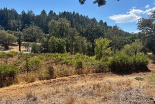 Single Family Residence,  Sharp road, Calistoga, CA 94515 - 18