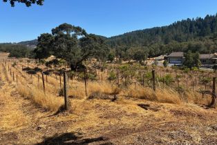 Single Family Residence,  Sharp road, Calistoga, CA 94515 - 16