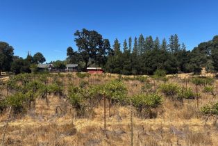 Single Family Residence,  Sharp road, Calistoga, CA 94515 - 20