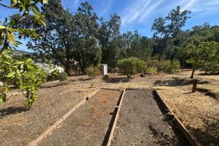 Single Family Residence,  St Michael court, Cloverdale, CA 95425 - 44